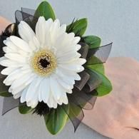 White gerbera daisy corsage with green leaves and black mesh on a wrist