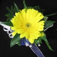 Yellow daisy corsage with blue and white ribbon on a black background