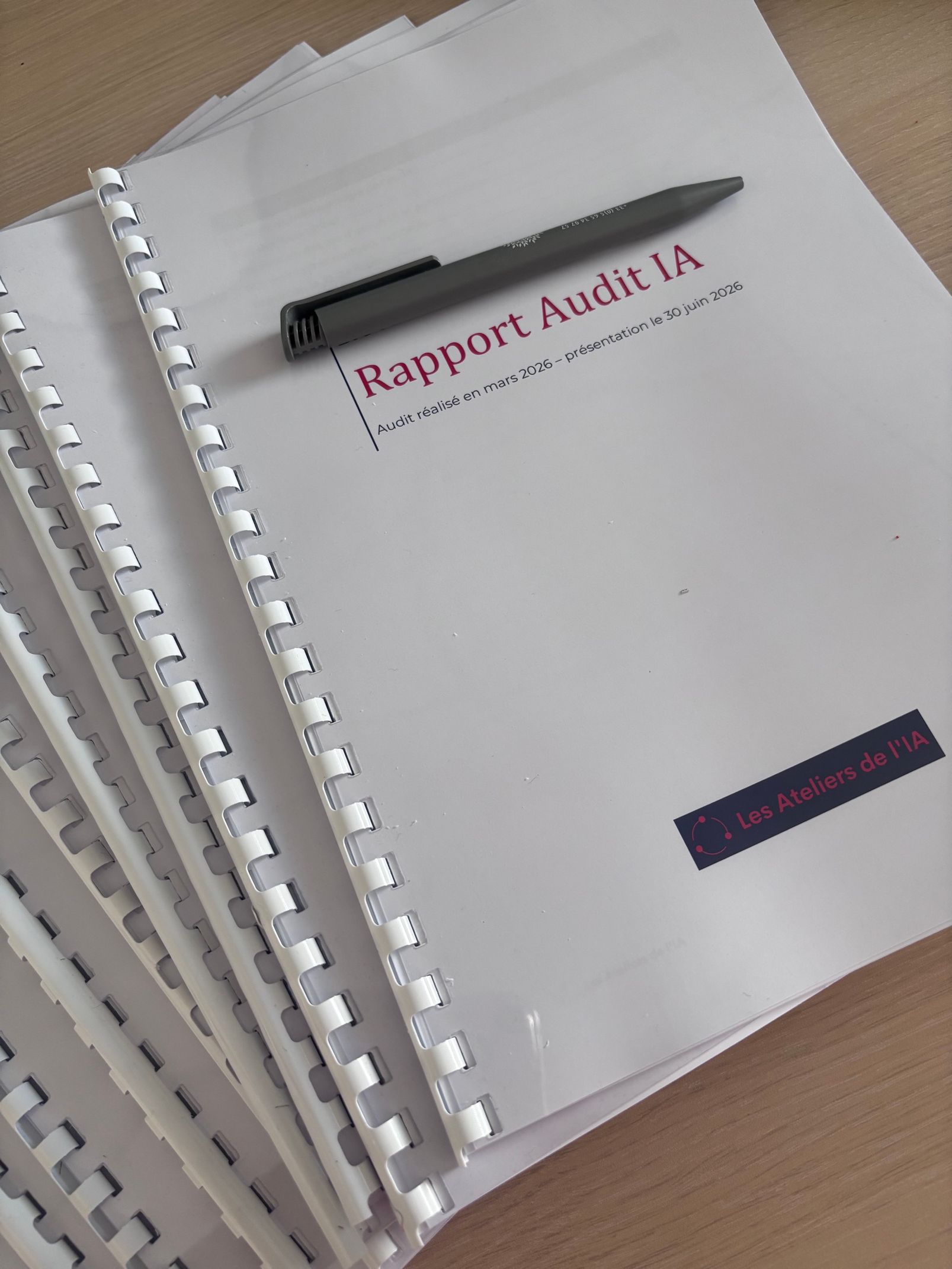 Compte-rendu audit IA 
