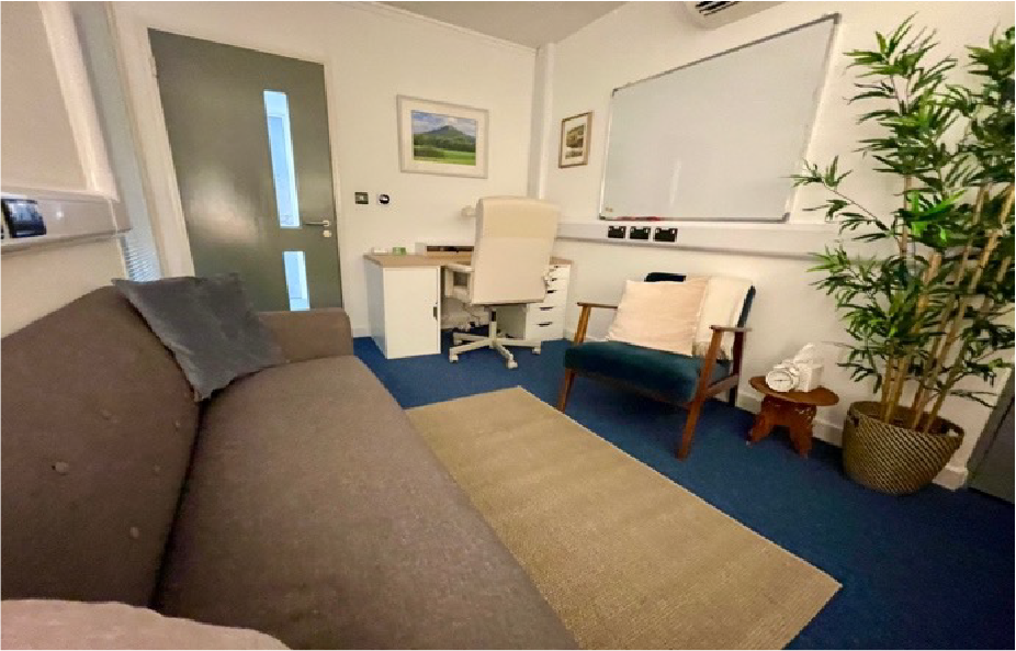 Therapy room with a gray sofa, desk, chair, rug, and plant. Blue walls and door.