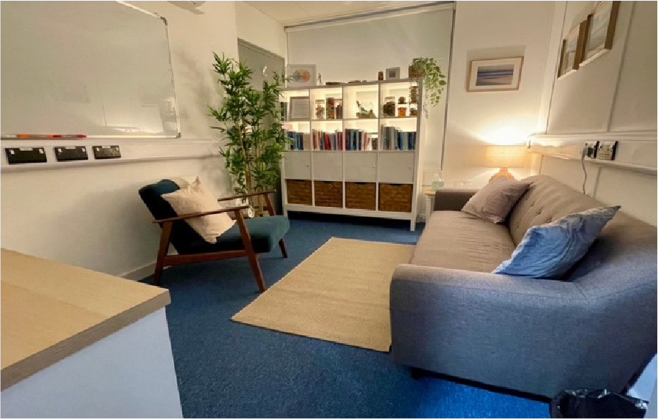 Cozy office with blue carpet, sofa, armchair, rug, bookshelf, and a bamboo plant.