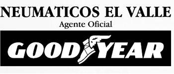 Neumáticos El Valle logo