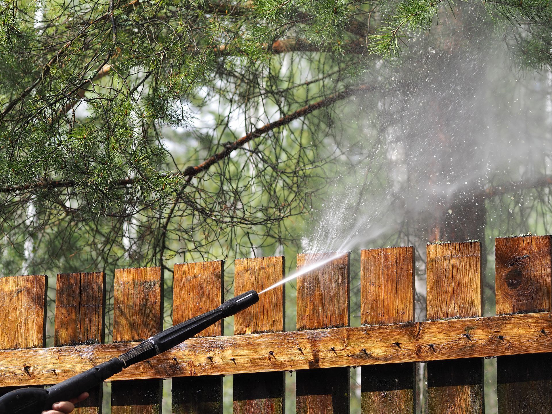 Spray from a hose wets a wooden fence beneath green trees.