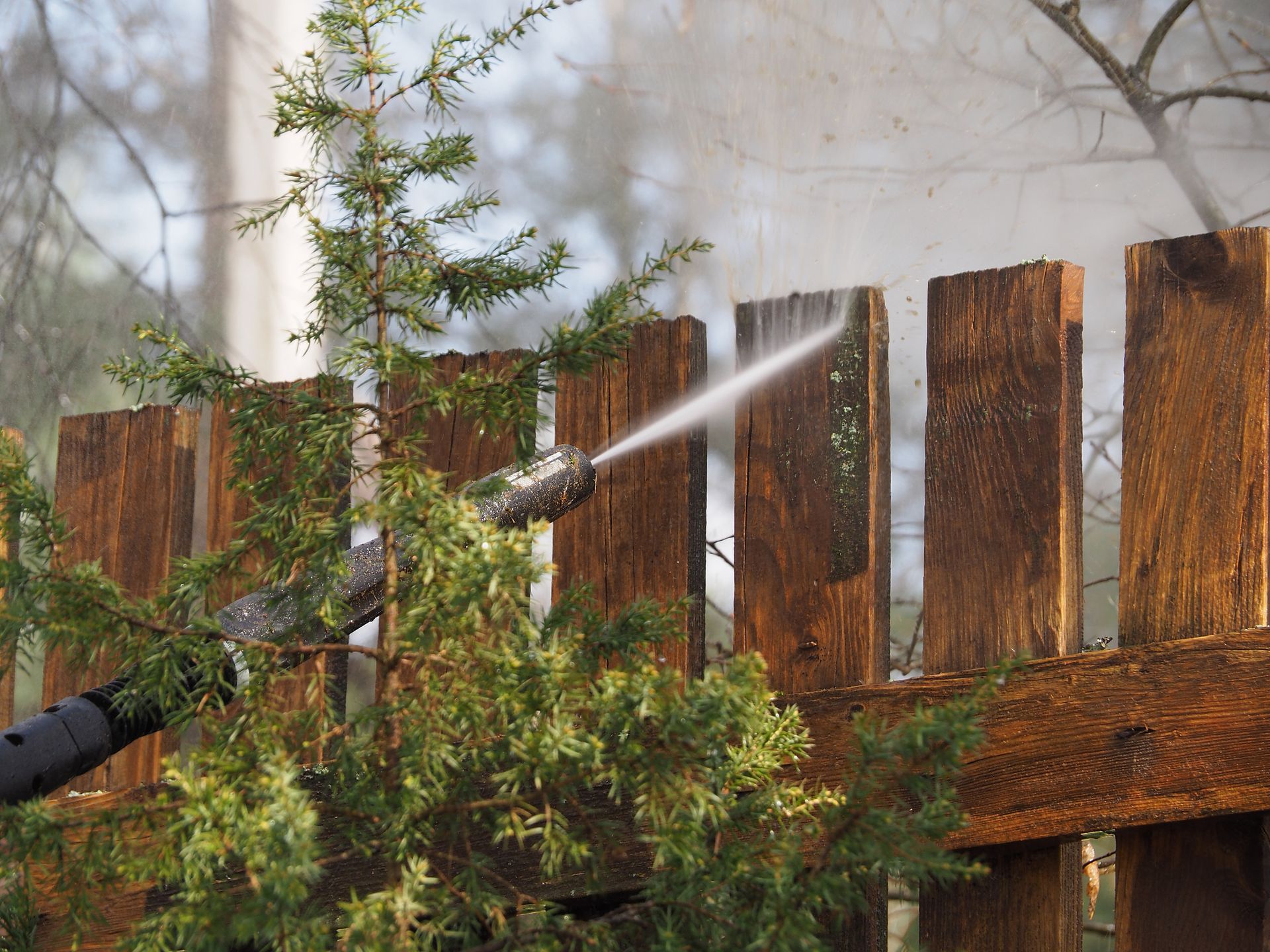 Person spraying water on a wooden fence over green shrubs in a yard