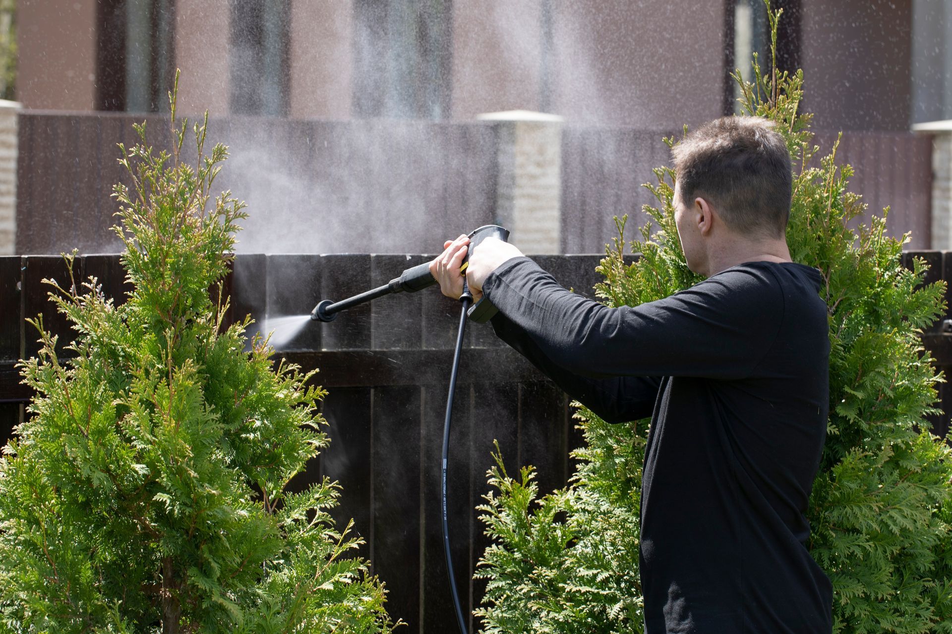 Person spraying water on a black fence with a hose beside green shrubs and a wooden house