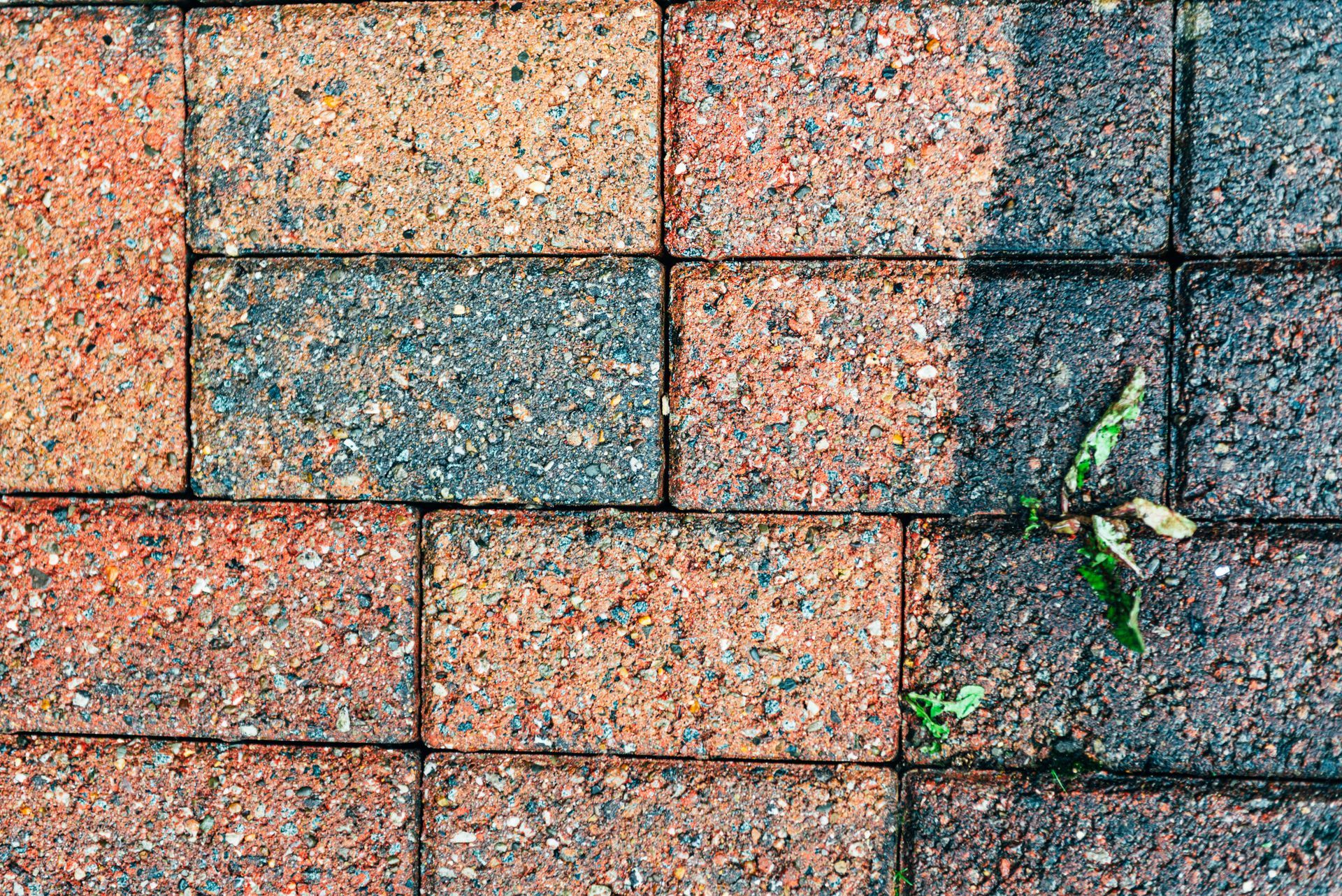 Weathered red and gray brick pavement with small weeds growing between the cracks