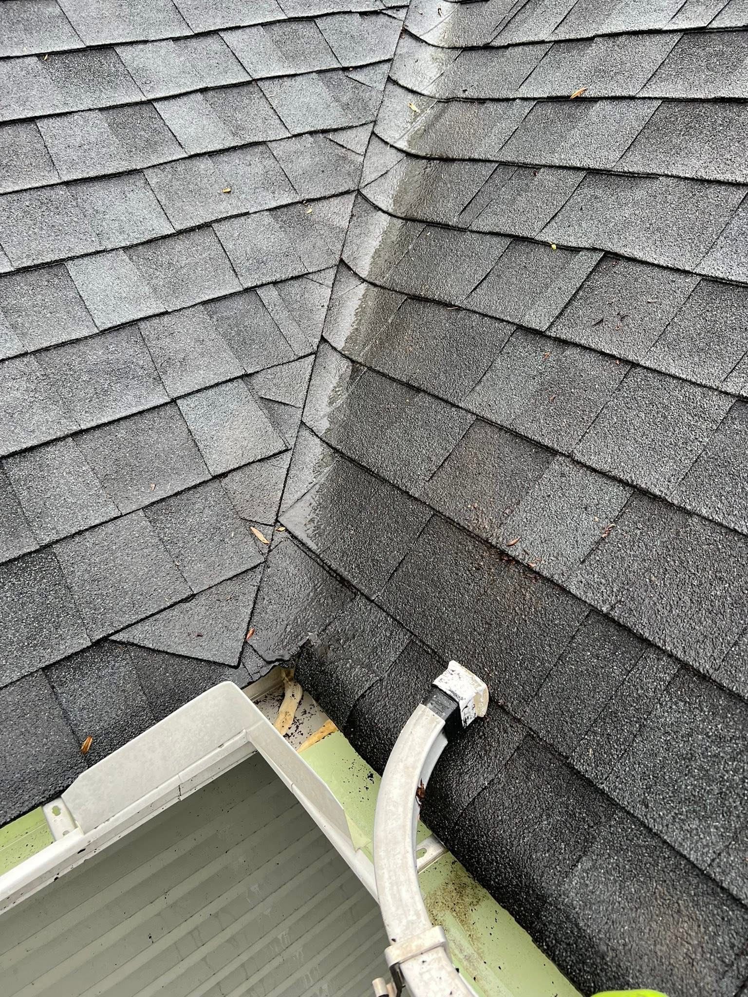 Water spraying from a hose onto the beige siding of a house near trees.
