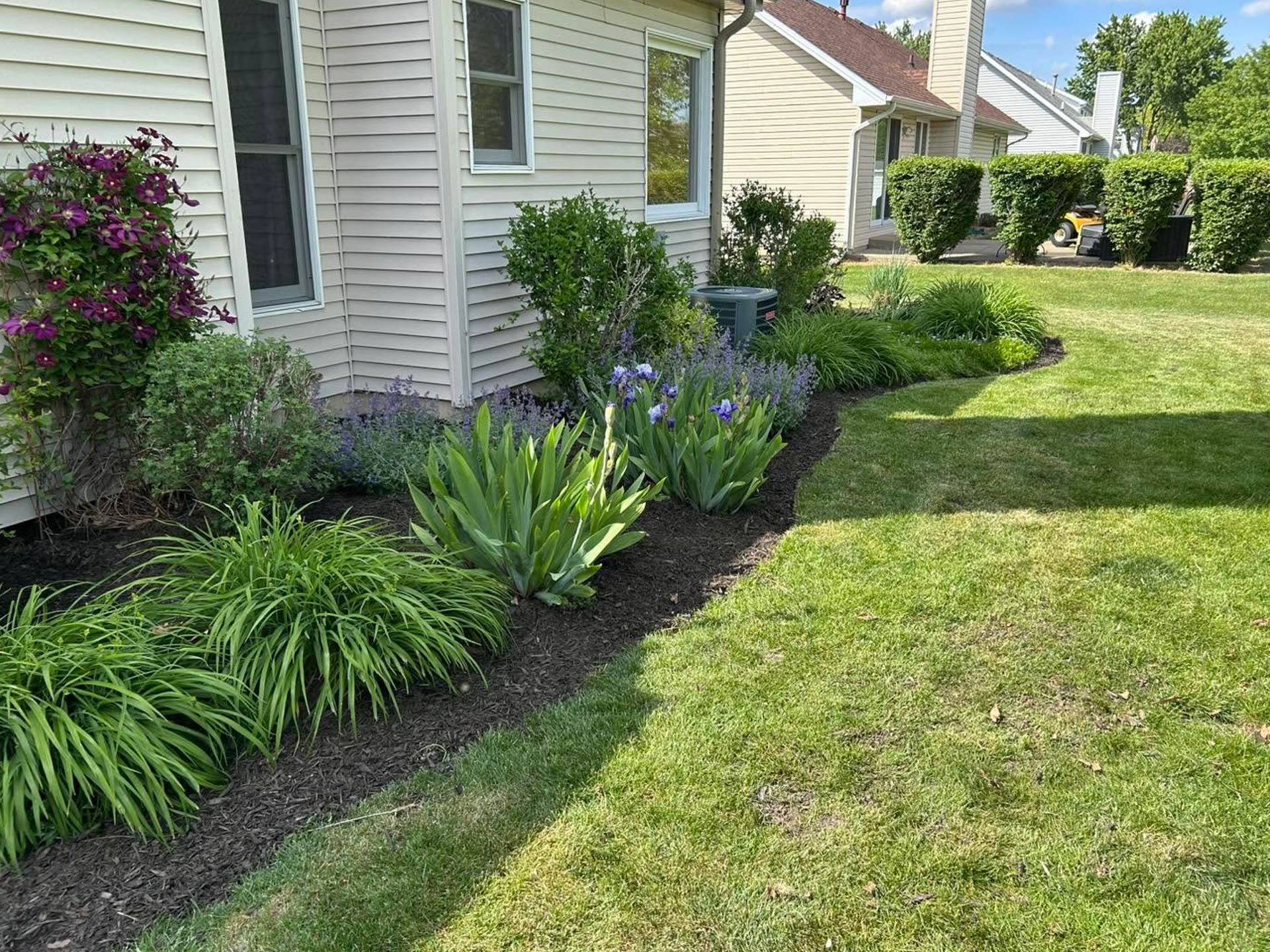 House exterior with a flower bed of green plants and purple blooms beside a grassy lawn
