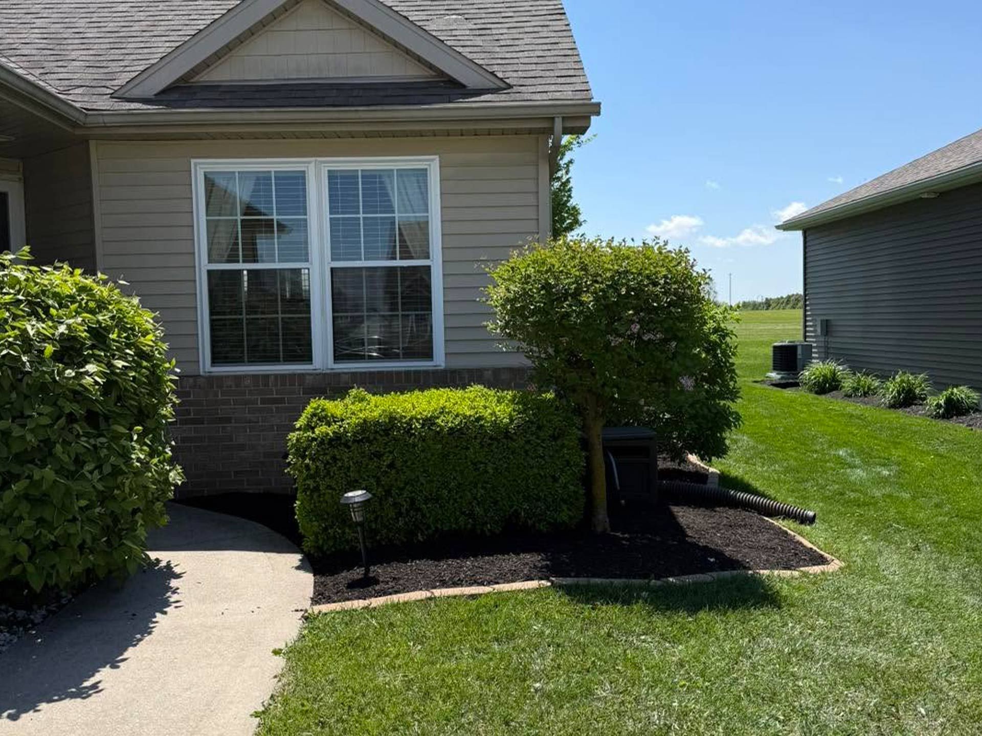 Suburban house front with beige siding, white windows, trimmed shrubs, and a sunny green lawn