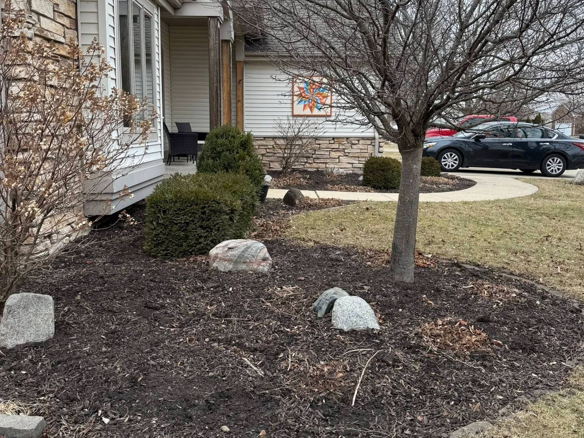 Front yard landscaping with mulch, rocks, shrubs, and a bare tree near a house driveway.