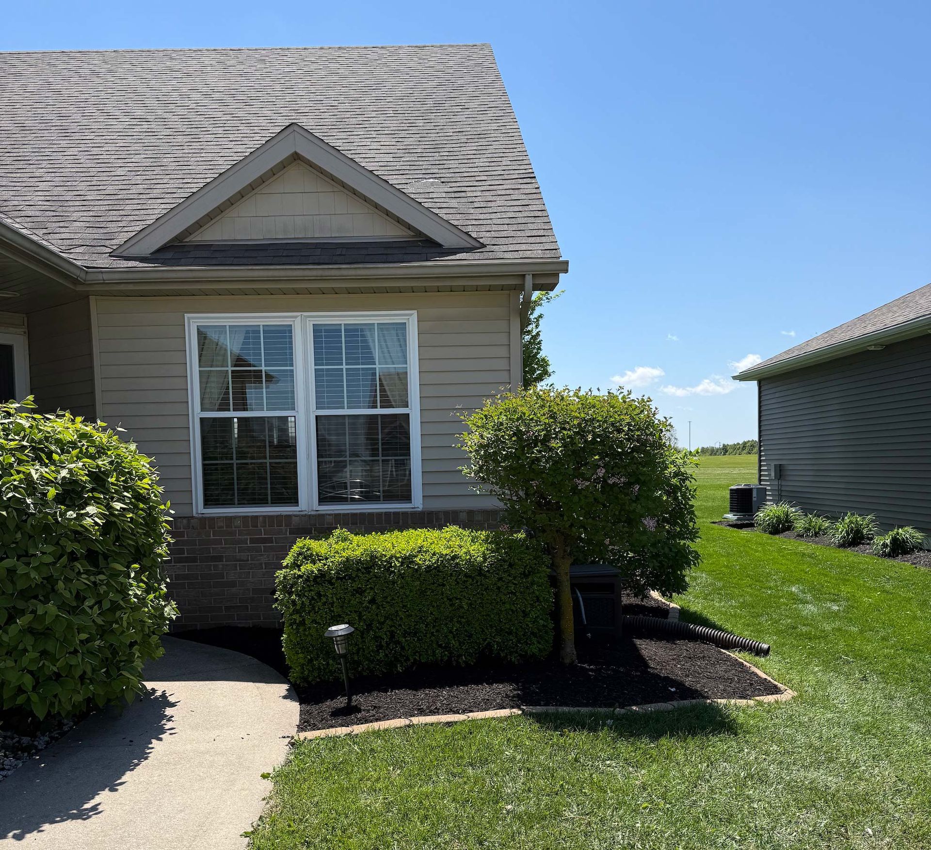 Suburban house exterior with a window, shrubs, walkway, and a clear blue sky