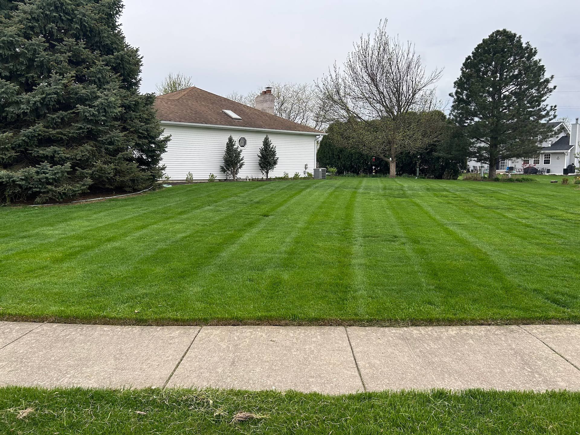 Suburban lawn with fresh green stripes, a white house, and trees under an overcast sky.