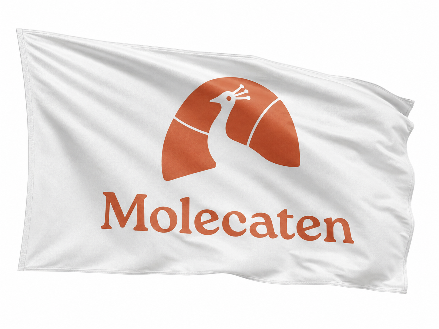 Witte vlag met oranje Molecaten-logo en tekst