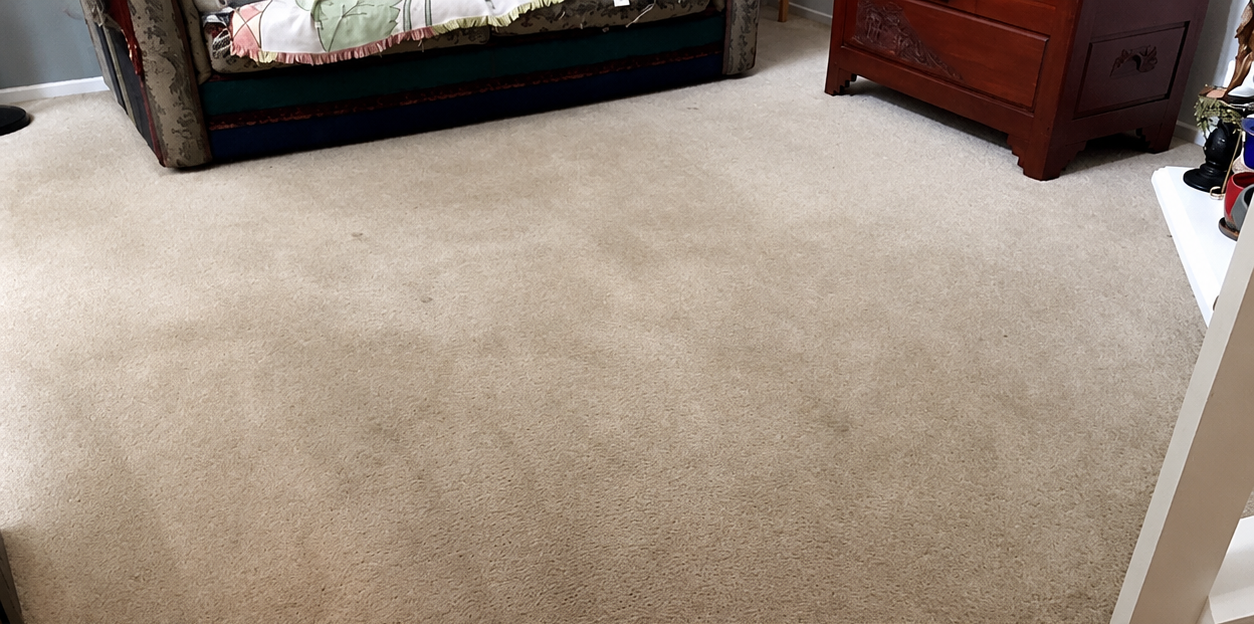 Beige carpeted living room corner with a couch and wooden side table.