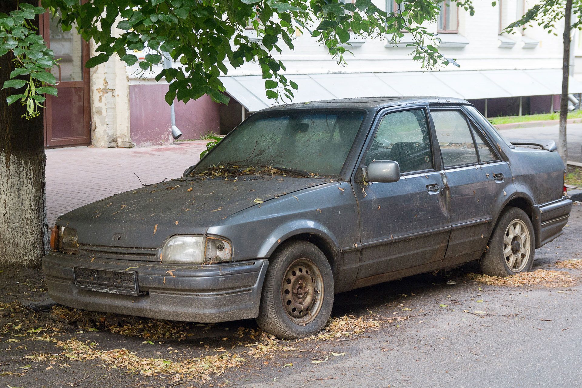 Old gray sedan parked under a tree on a leaf-strewn street, with a white building in the background.