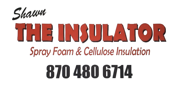 Shawn The Insulator