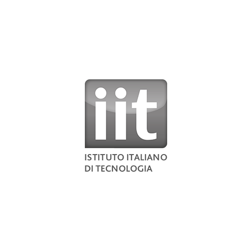 IIT