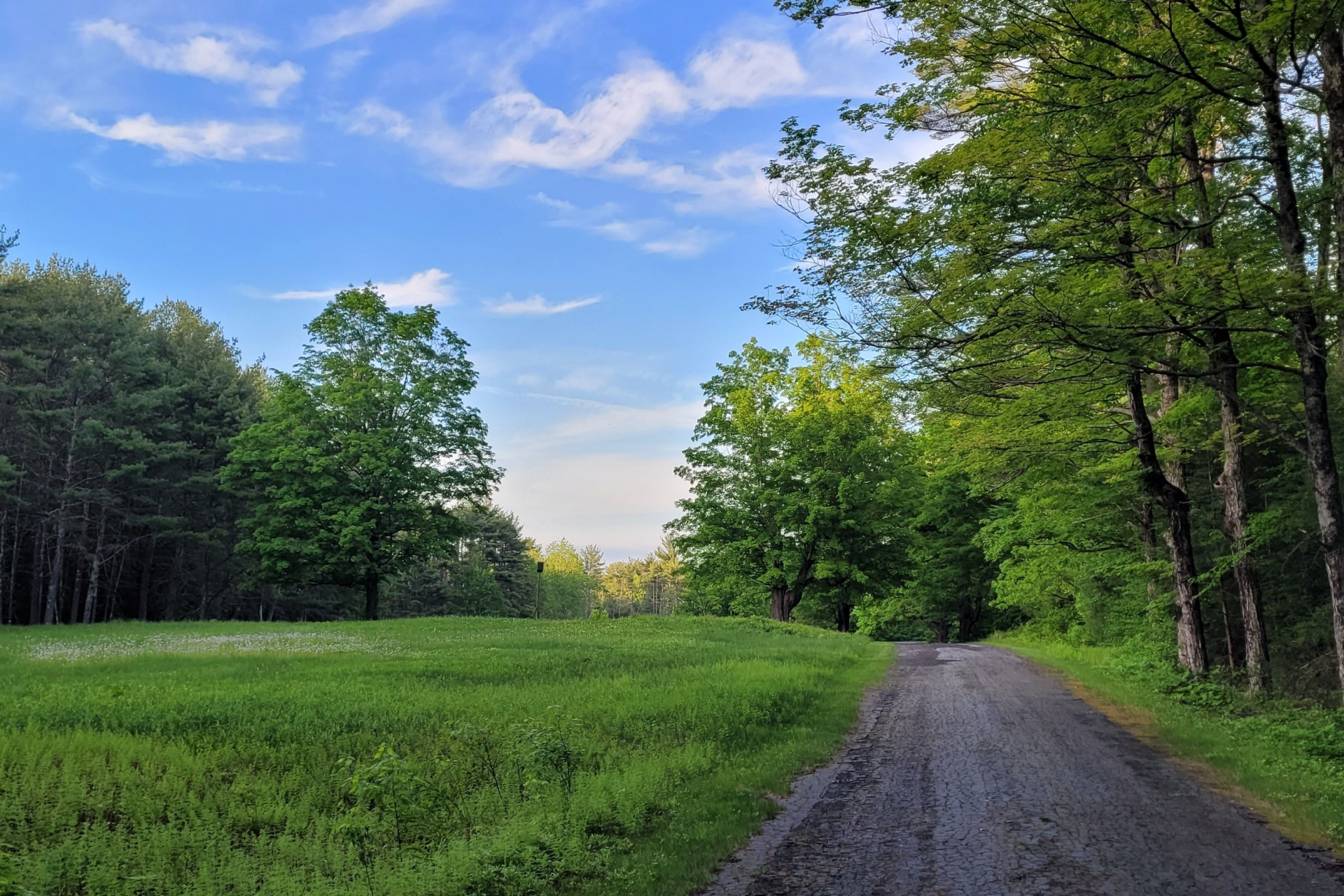 Gravel path through a green field bordered by trees under a blue sky with clouds.
