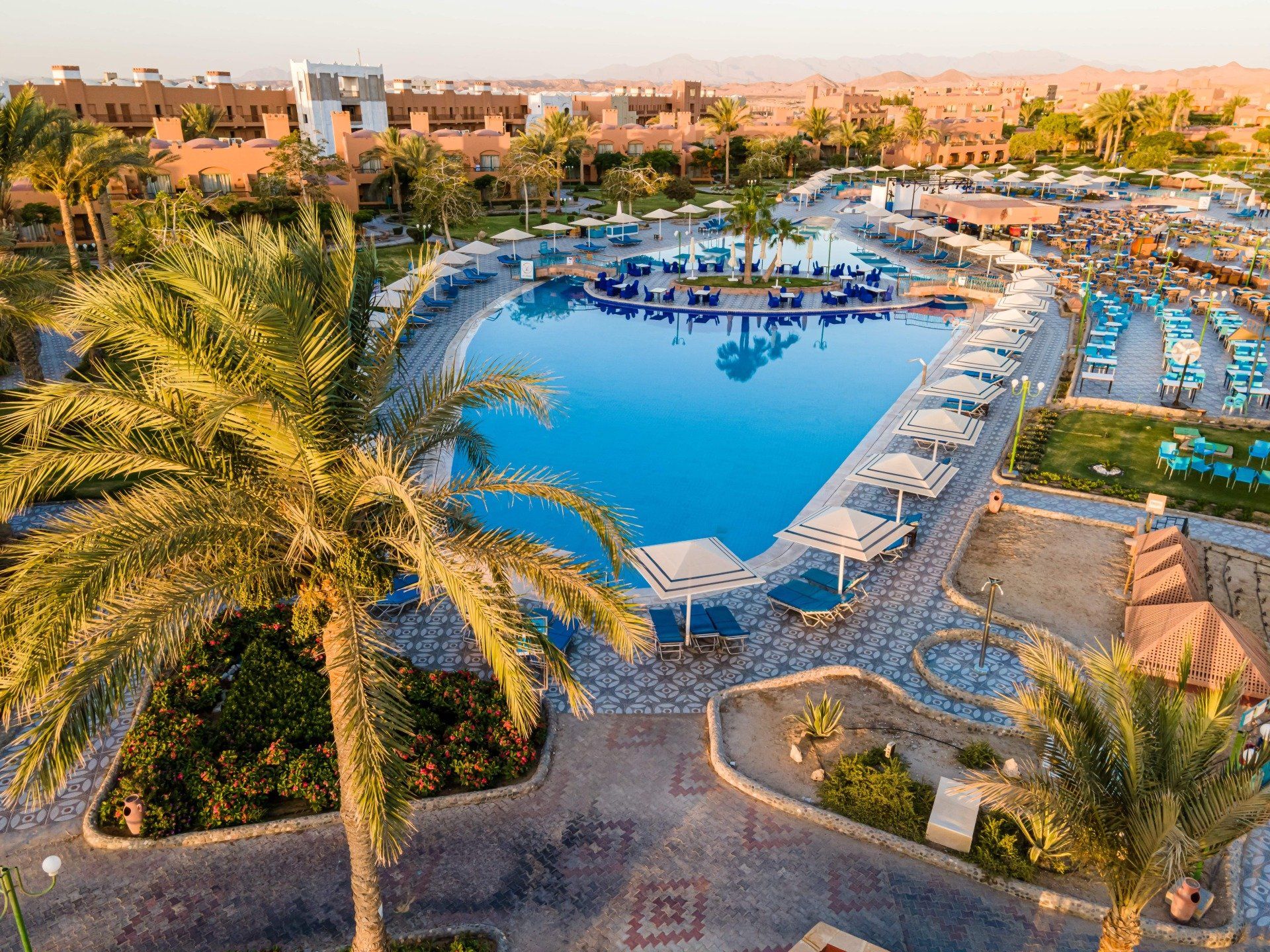An aerial view of a large swimming pool surrounded by palm trees.