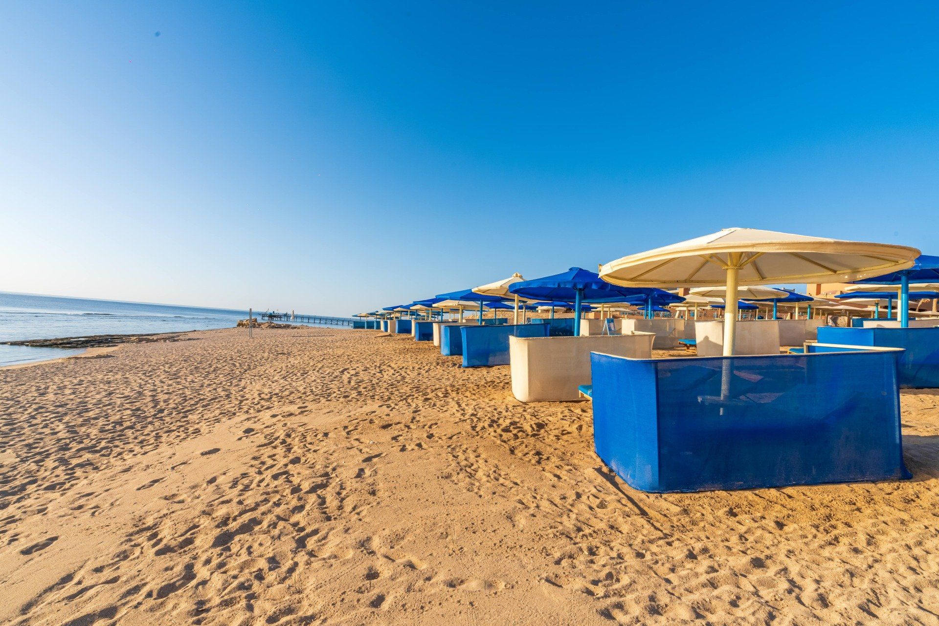 A row of blue and white umbrellas on a sandy beach.