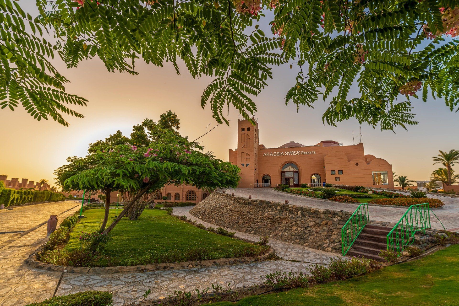A large building with a tree in front of it and a sunset in the background.