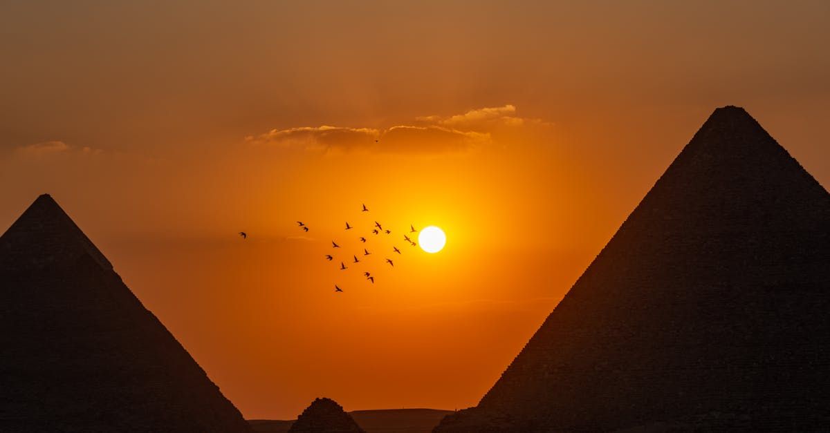 A flock of birds are flying over the pyramids at sunset.