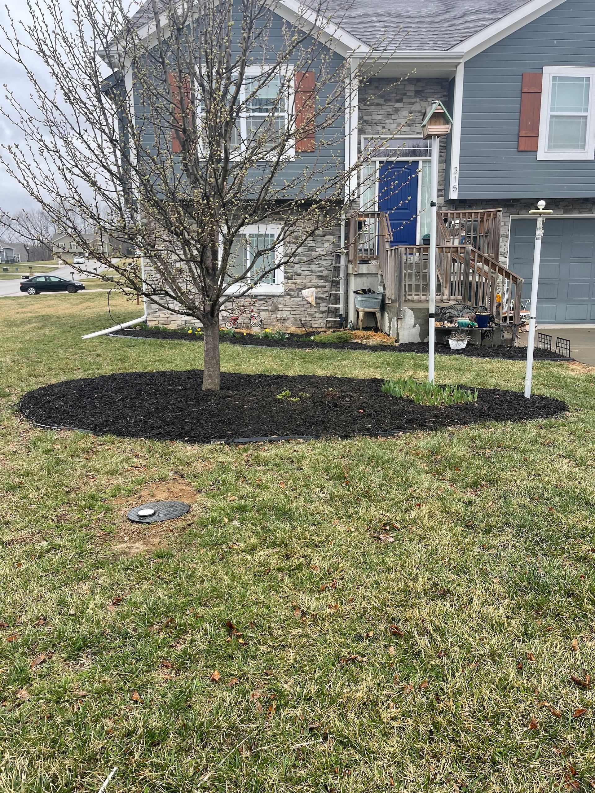 A house with gray siding and a tree in front, mulched with black. Green grass surrounds it.