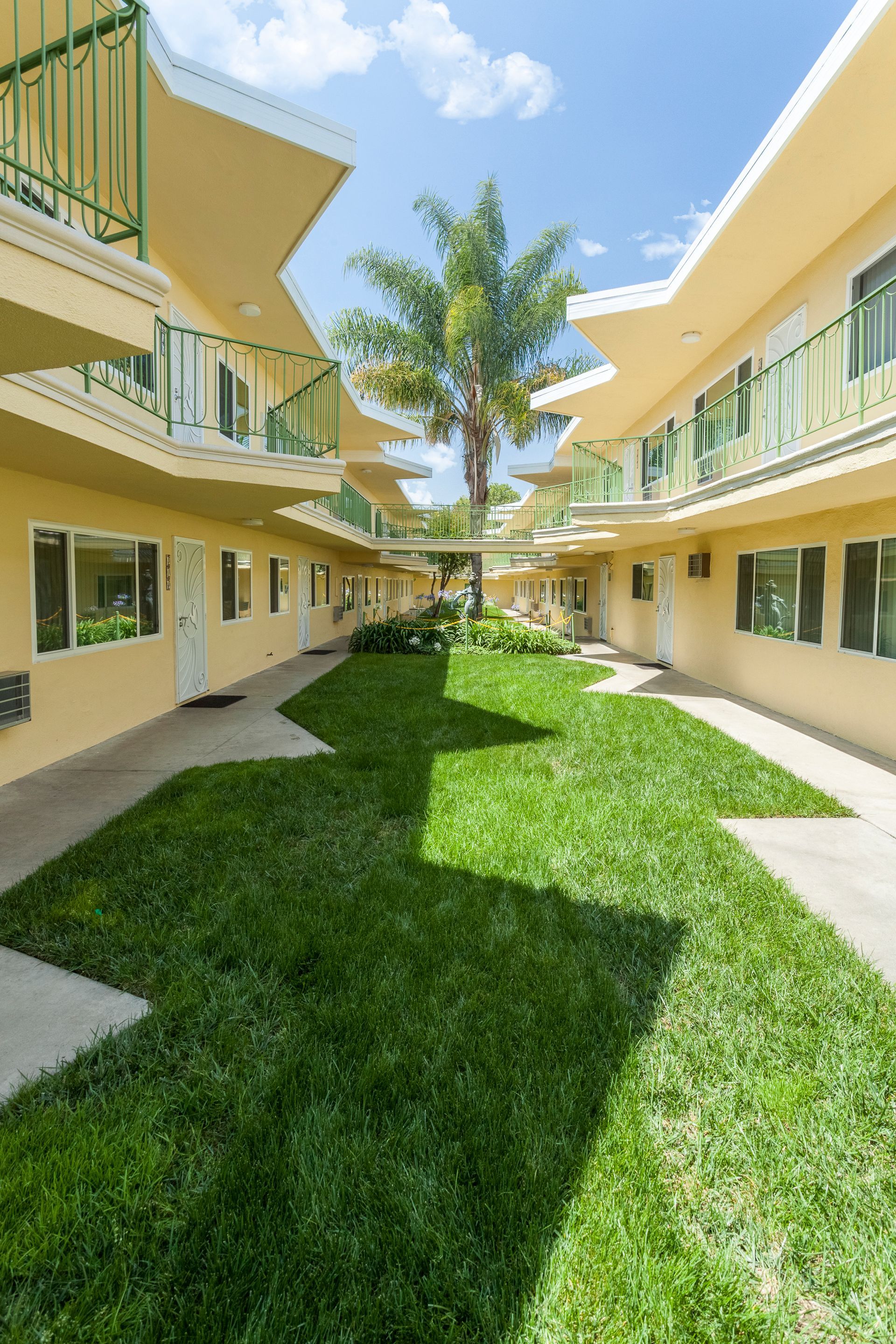A lush green courtyard between two apartment buildings with a palm tree in the middle.