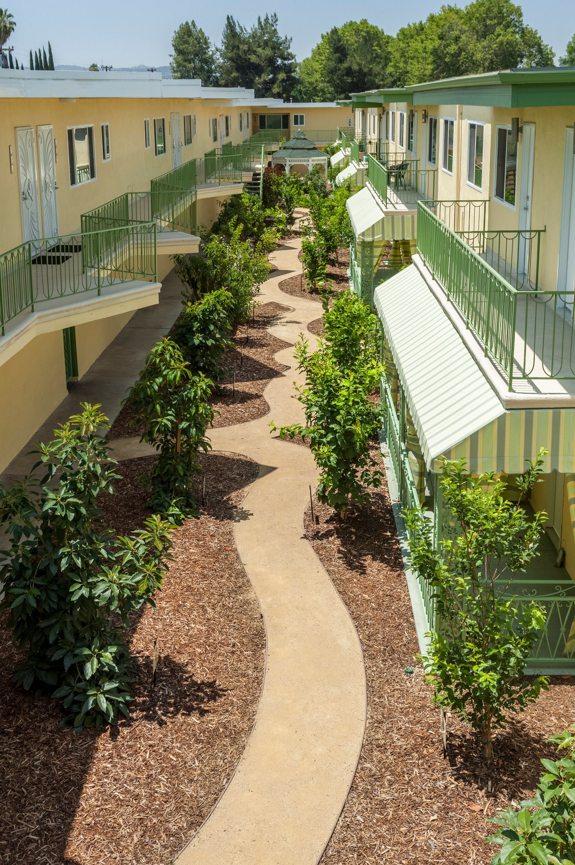 An aerial view of a hotel with a walkway surrounded by trees
