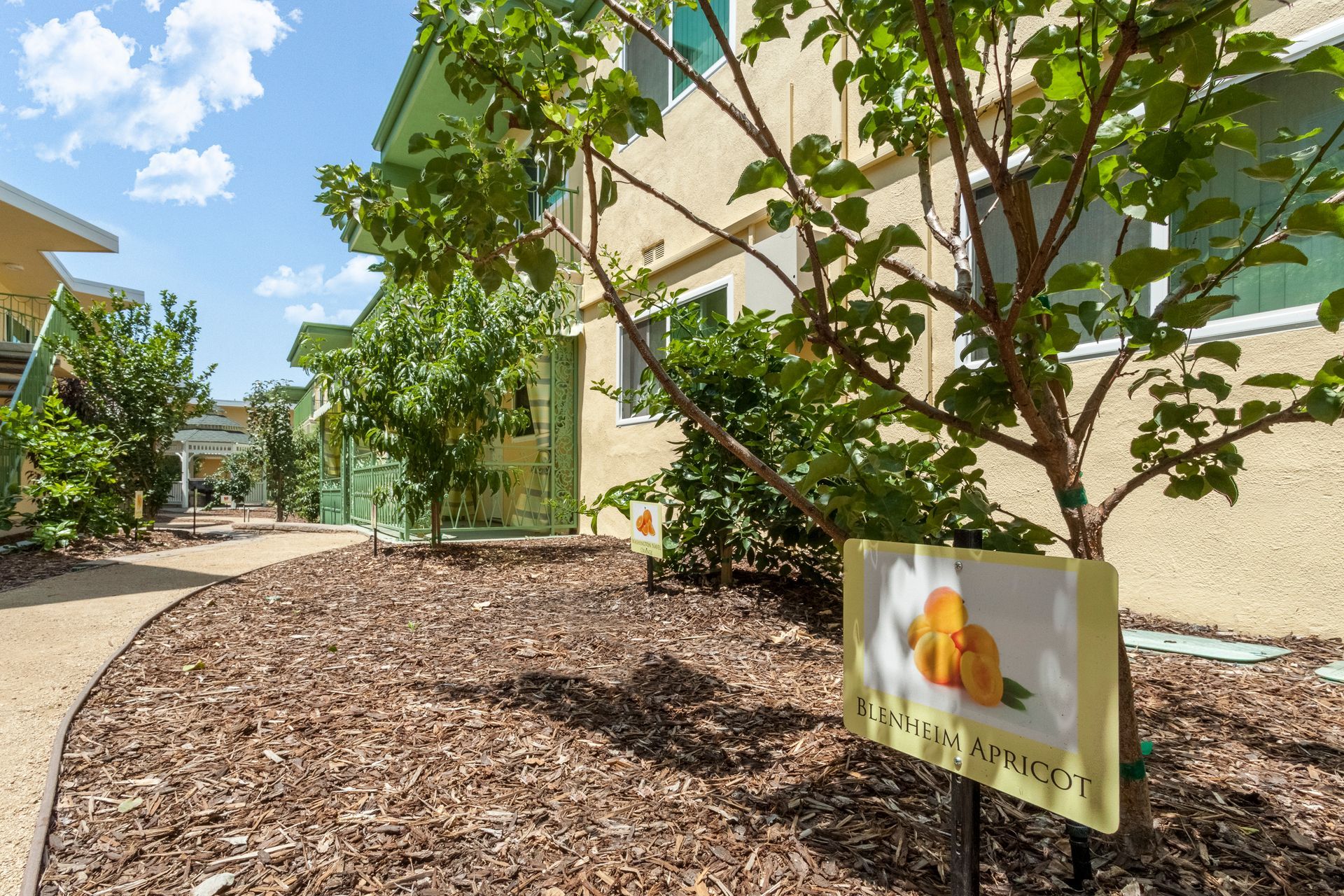 A sign with a picture of a flower on it is in front of a building.