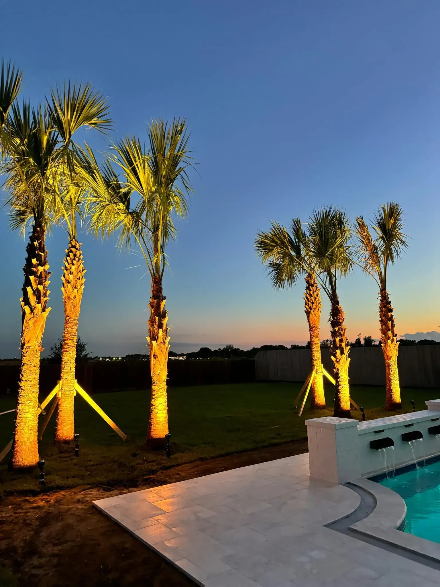 Palm trees illuminated by spotlights next to a pool at dusk, with a gradient blue and orange sky.