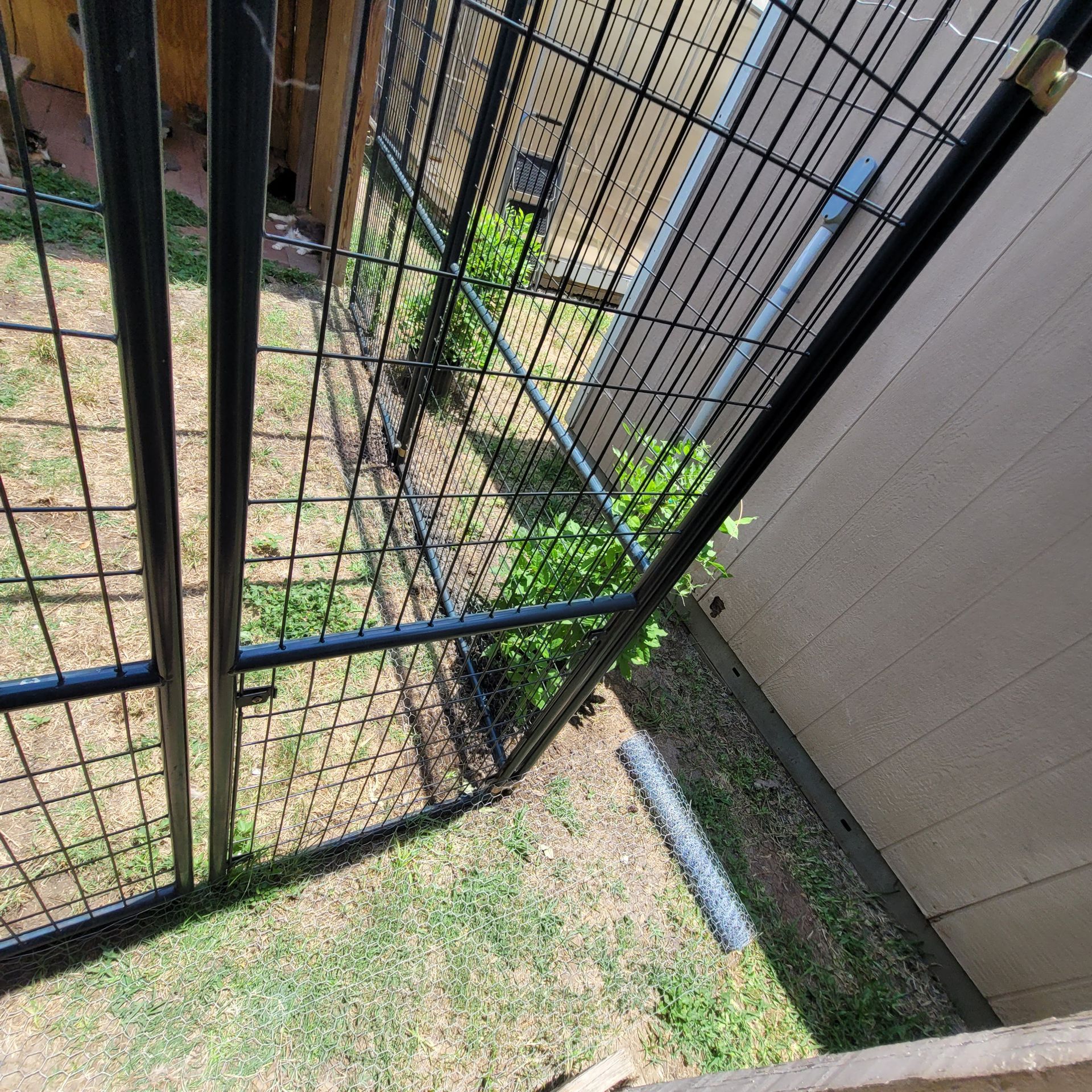Black metal gate beside a tan wall, opening onto a small grassy yard with a drain pipe.