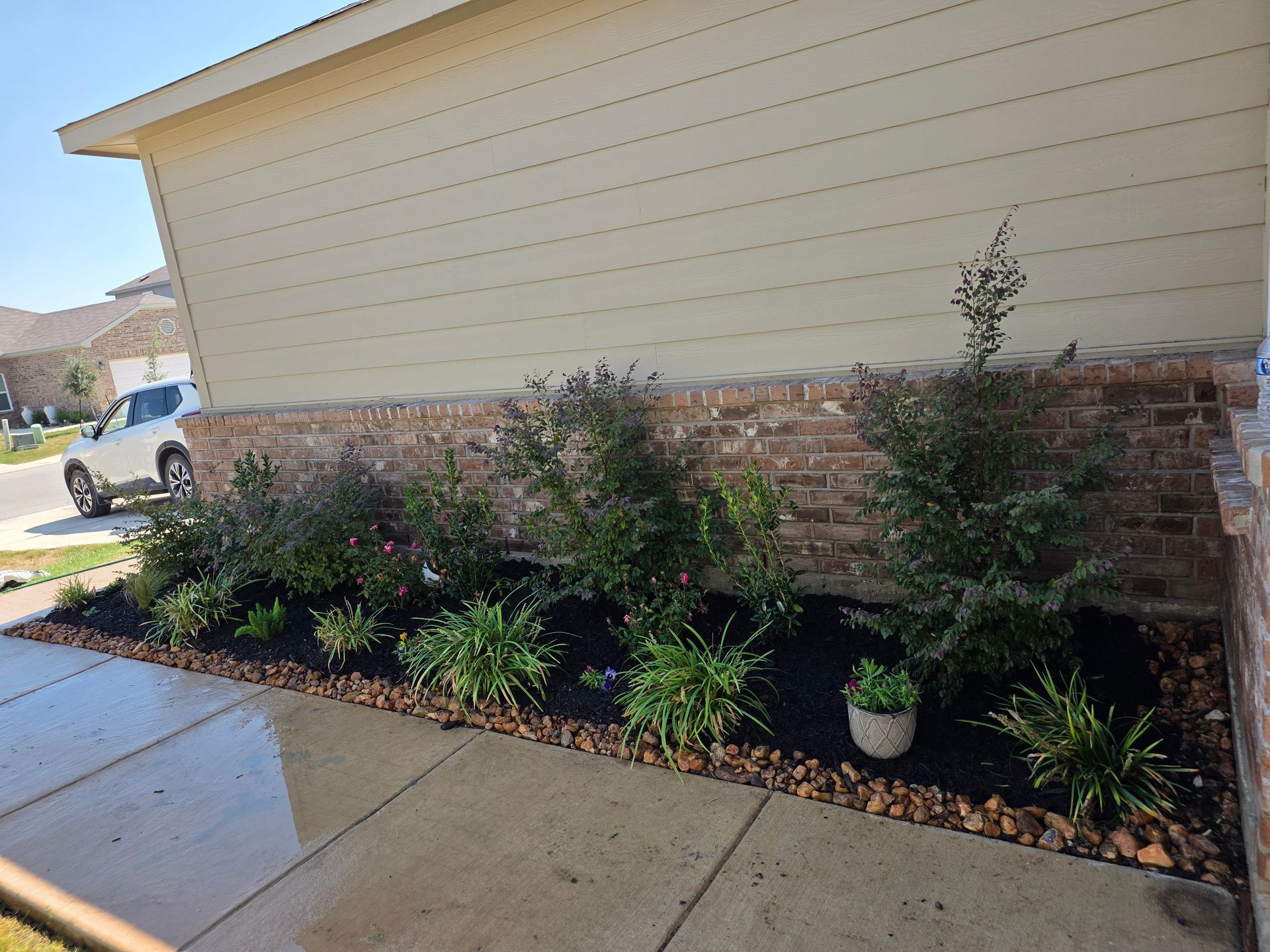 Front of house with brick planter bed, small shrubs, and wet concrete walkway along beige siding