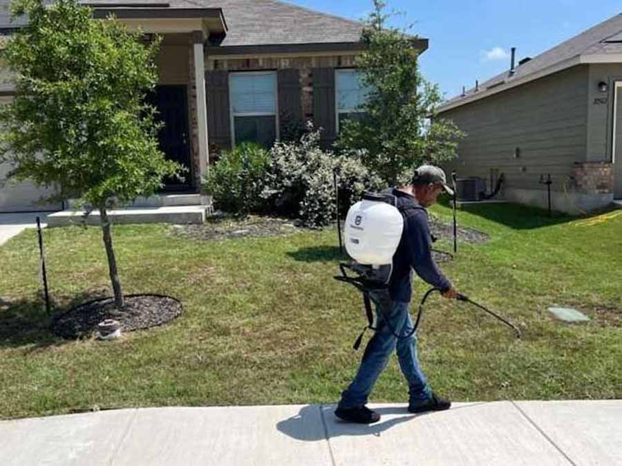 Worker spraying a front yard lawn with a backpack sprayer outside a house