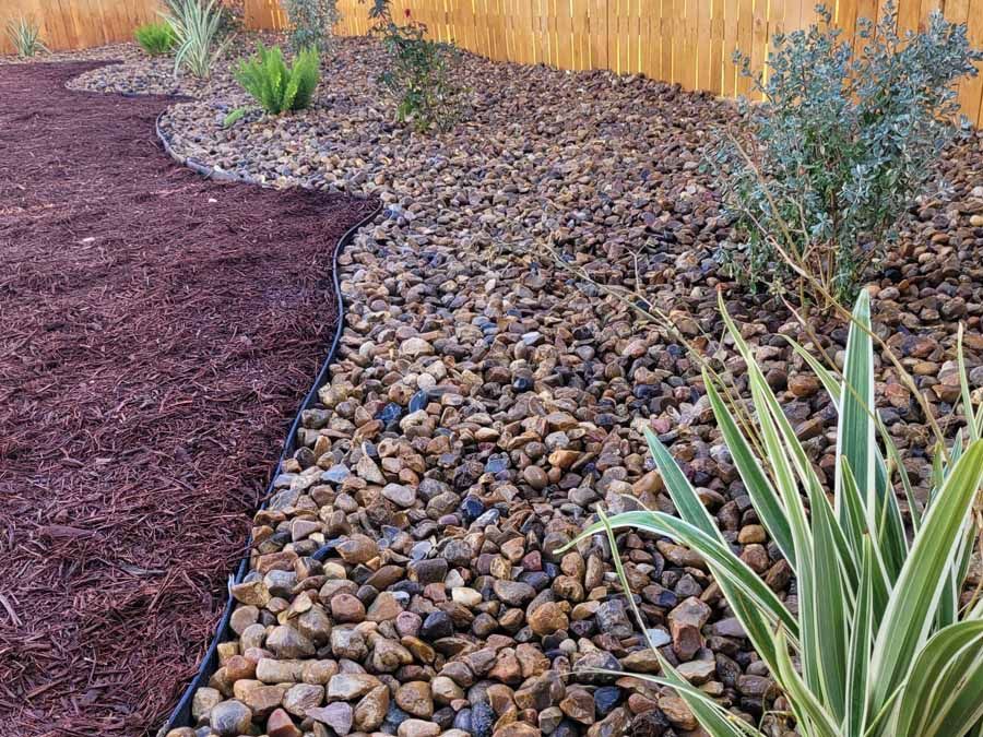 Landscaped backyard with gravel path, mulch beds, and drought-tolerant plants by a wooden fence
