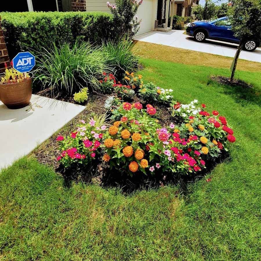 Colorful flower bed in a front yard beside a sidewalk and driveway, with a blue car in the background