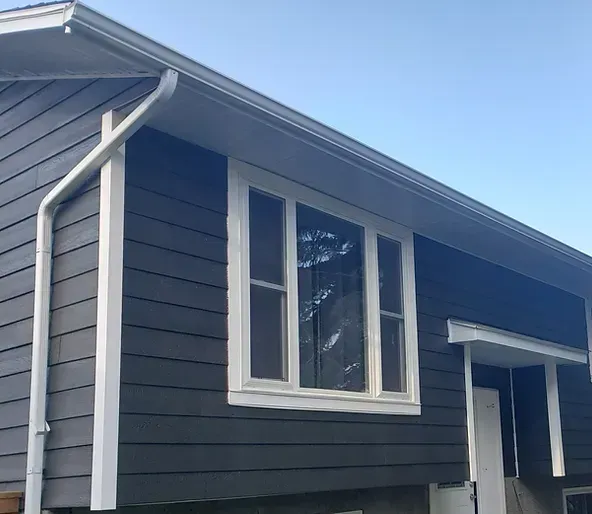 A house with a black siding and white windows