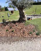 mazzarone giardini