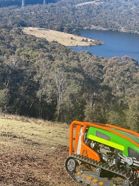 Off-road bike on a steep grassy hillside overlooking a forested lake and peninsula