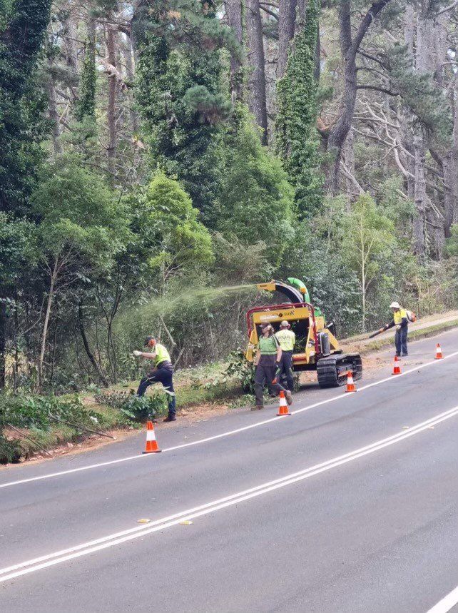 Road workers and a backhoe repair a roadside lane in a wooded area, with traffic cones marking the work zone.