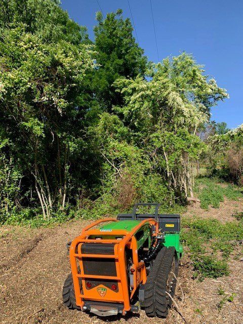 Orange and green agricultural machine on a dirt path beside dense trees under a blue sky