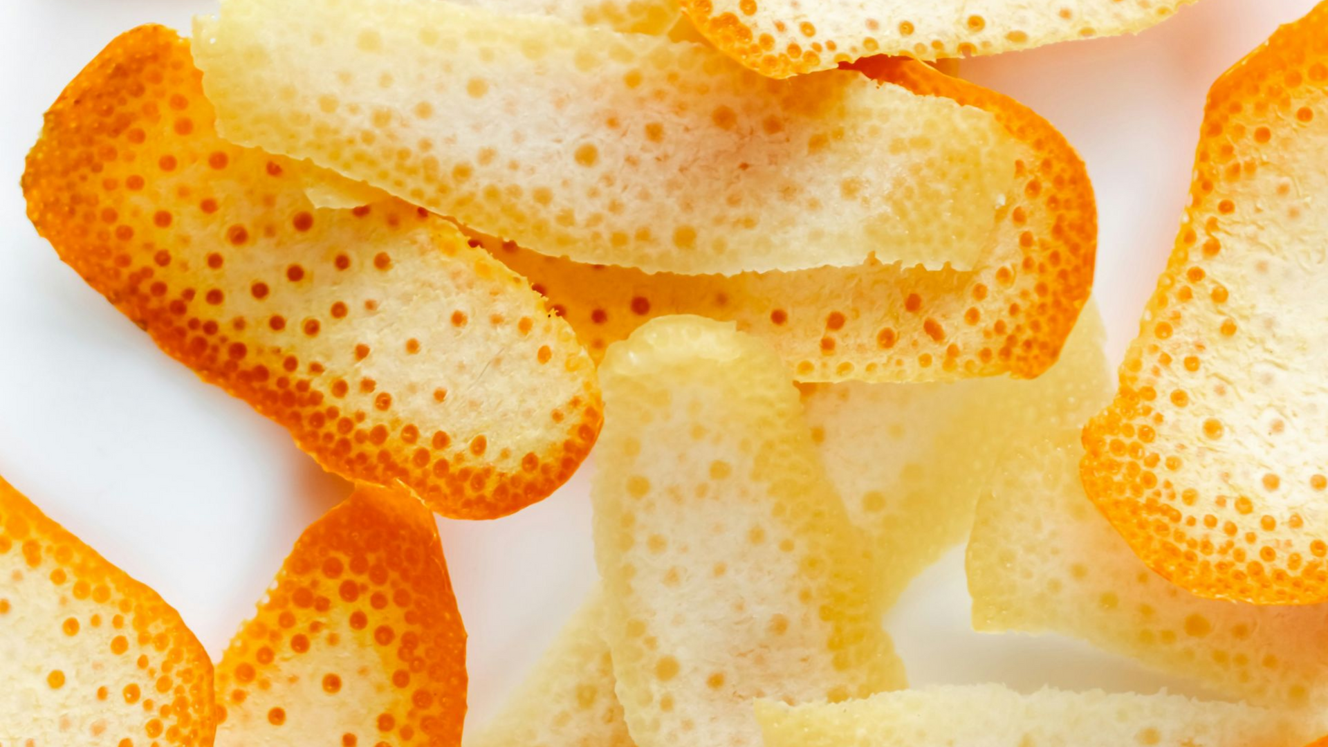 Terpenes 101 at Nala Health and Recovery