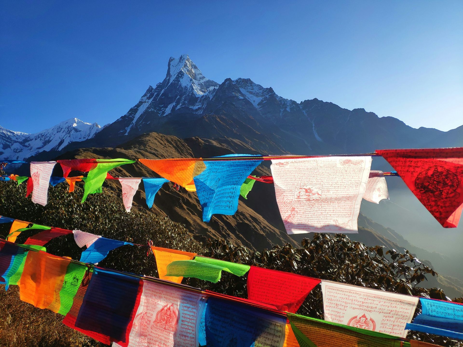 Shilajit at Nala Health and Recovery