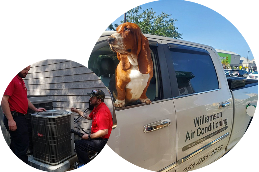 proudly serving baldwin county