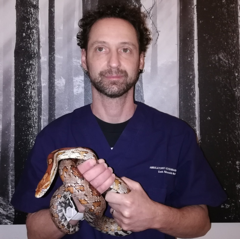 Veterinaria