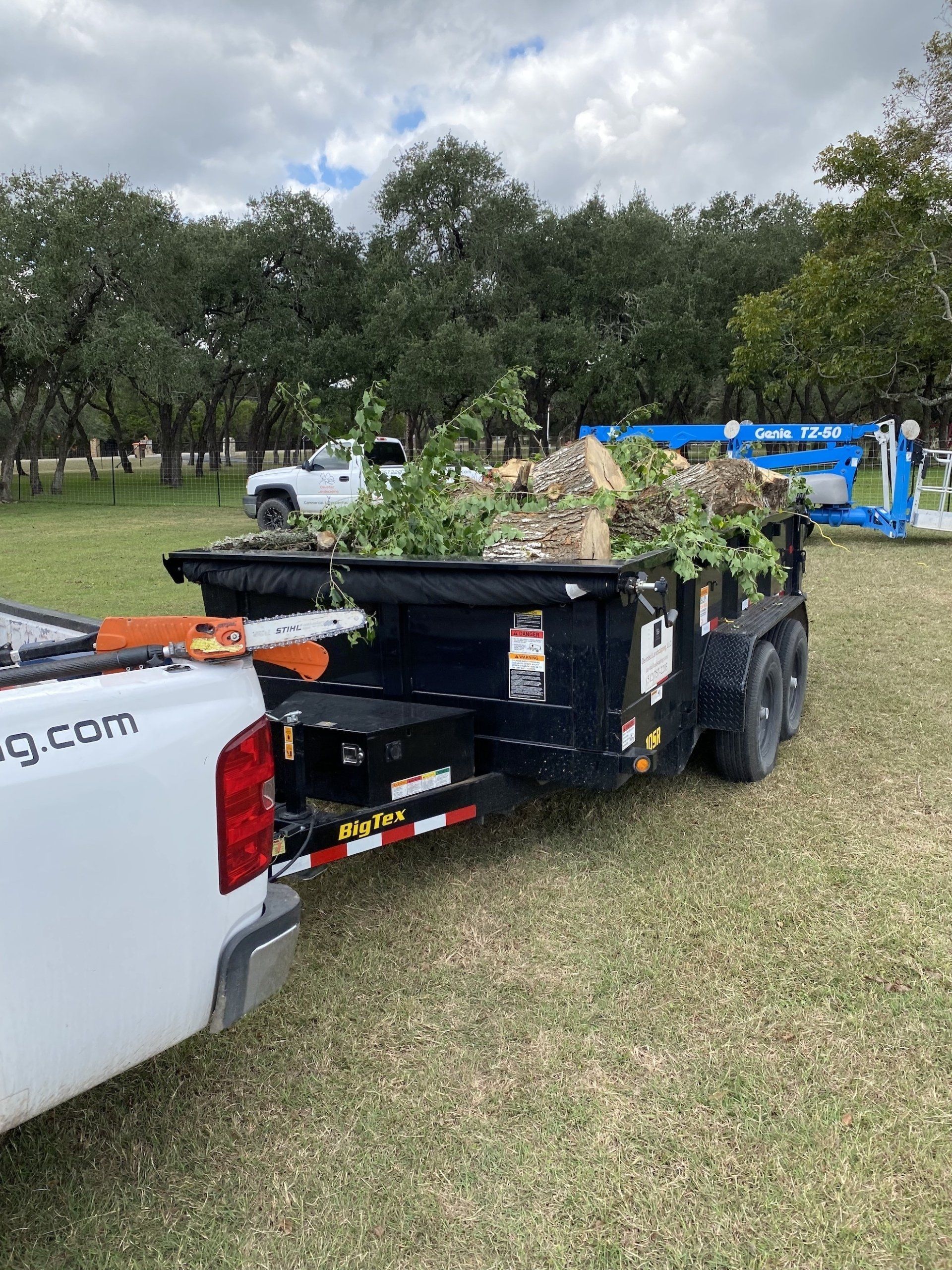 Tree Removal