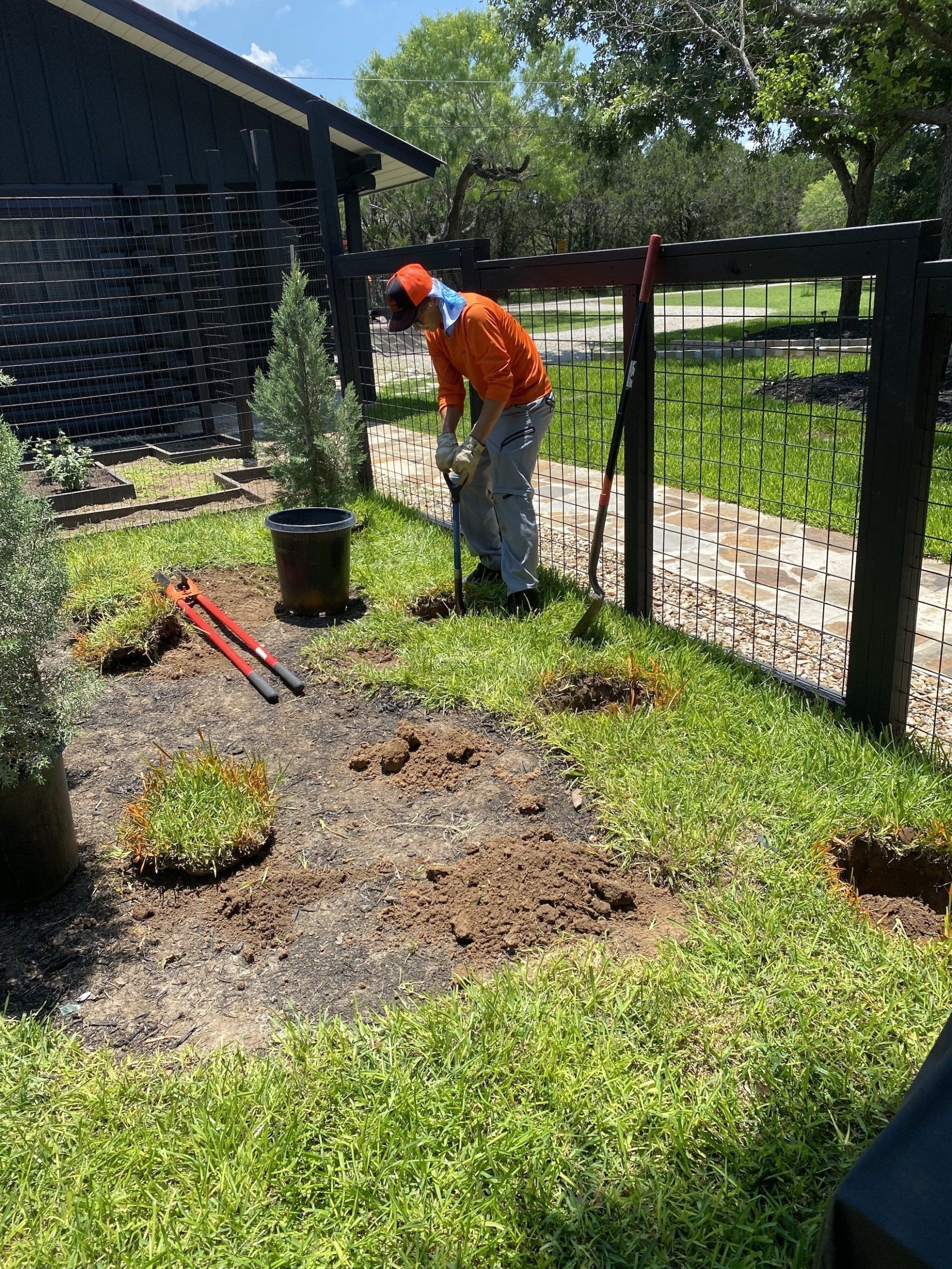 Sod Installation