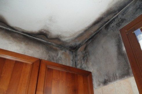 soffitto con muffa