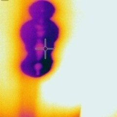 RICERCA PERDITA SU TERRAZZO