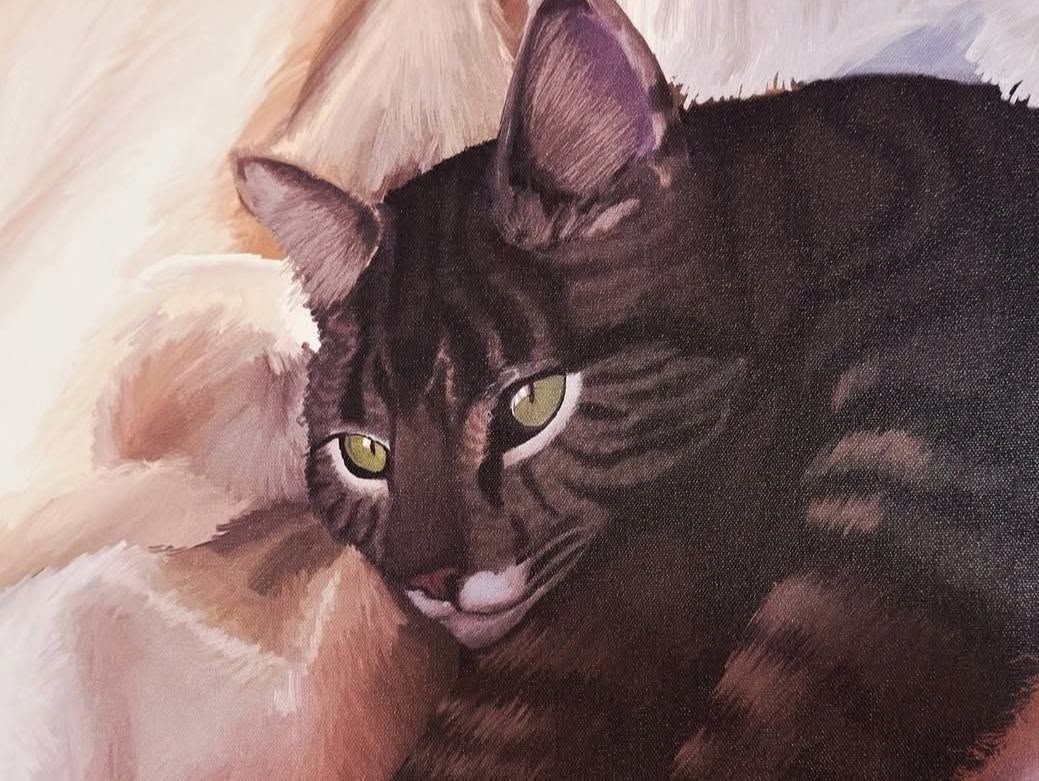 Dark tabby cat resting on a soft blanket, with green eyes and pink nose.